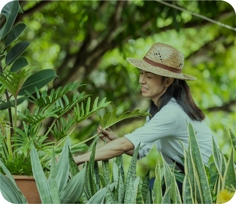 WiraLand - Pemeliharaan / Maintenance 